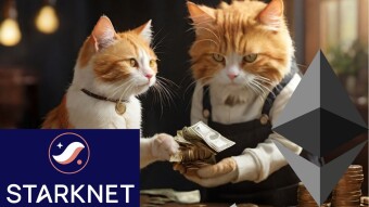 Ethereum Whales Got Fat, But Did Small Fish Get Fried? Time to Explore Other Seas?