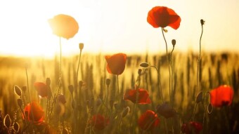 Daily Affirmations - 17 Mar, 2020