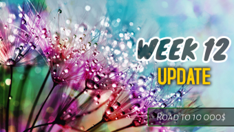 Week 12 Update