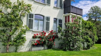 Tropical Plants in Zurich