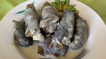 Foodbook 147 Greek Traditional Dolmades