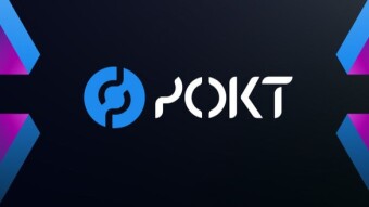 Things to consider before venturing into Pokt Pool