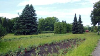 Today's weather is much nicer, although the rain was a blessing for the plants - My Actifit Report Card: June 11 2024