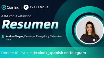 Resumen del AMA con Avalanche