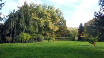 A quiet walk in the park, beautiful sunshine perfect for photos - My Actifit Report Card: October 15 2023