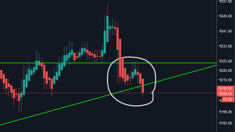 Bitcoin will go up or very hard down