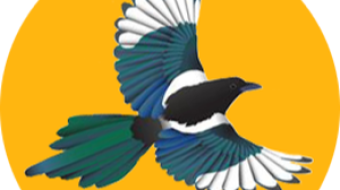 Magpiecoin (MGPC) - The Mineable CPU that will be successful.