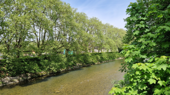 Walk to the river