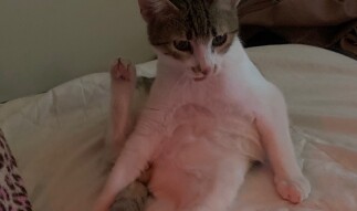 LOCOstories #2 is he trying yoga or something like that ???