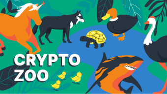 Animals in the Crypto Market: Unicorn, Turtles, Chickens, Dogs, Hamster, and Many Others