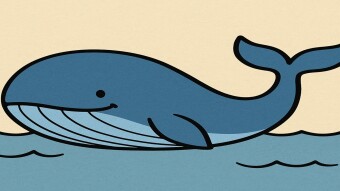 Crypto Whale Watching: Pull Out Those Harpoons (Metaphorically, Of Course) (Crypto Satire)