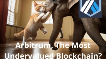Arbitrum: My Secret Weapon in this Bear Market