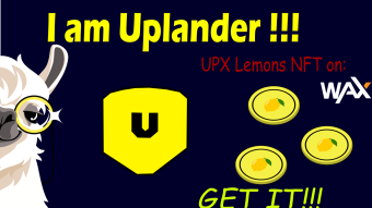 How I became an Uplander creating my own NFT collection.