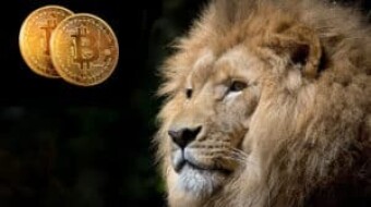 African And Bitcoin