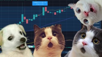 The biggest BIG winners were these 4 cryptocurrencies  [TNC], [VI], [PGN], [VALOR] 16 June Analysis