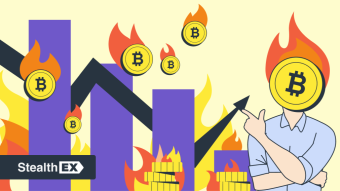 The End of Crypto? - StealthEX Crypto Newsletter: Issue #40