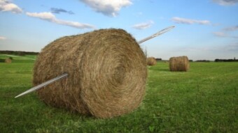 Ethereum: Finding the needle in the haystack - The forgotten pearls revival Era is upon us