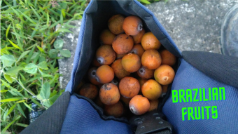Free food on the road!