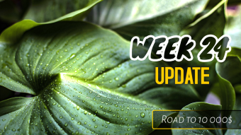 Week 24 Update