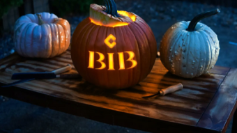 Revolutionizing Research Data Management with Bibmeta: A Comprehensive Overview