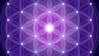 The (Elegancy Of The) Universe