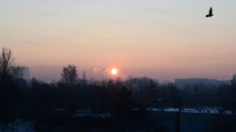 Winter weather from many years ago - snowstorms, blizzards - My Actifit Report Card: January 11, 2026