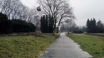 All day rainy, cold and unpleasant - My Actifit Report Card: March 14 2025