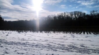 A sunny Saturday with a hint of spring - My Actifit Report Card: January 17 2026