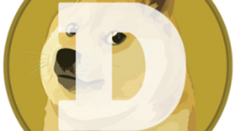 Viral Tik Tok Videos Increase Dogecoin's Trading Volume Almost 2000% In 48 Hours