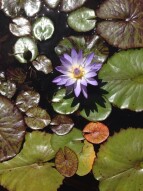 Meditation - Different Types of Meditation