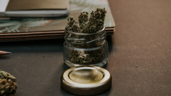 Bitcoin and Cannabis: A Working Relationship