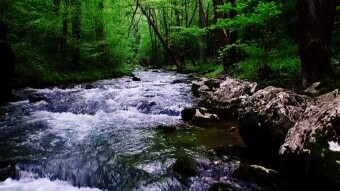 Mother Nature