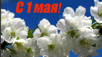 #♞ 1 мая - праздники и исторические события дня 🐇