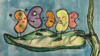 Climbing up the Beanstalk - 100 days for Jacktoshi and the Golden Beans