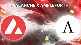 Ampleforth: AMPL News, a Paper Update? What Does the Data Say?