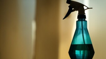 Research based Effective Mold Killers