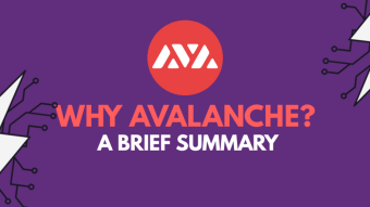 A Brief Overview Of Avalanche [Build Your Own Customized Blockchain Assets]