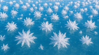 The Crystalline "Ice Flowers" of the Arctic Ocean