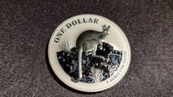 Last minute Silver purchases!