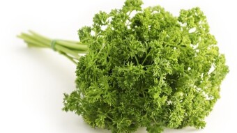 Dating Chronicles #29 - Pain and parsley