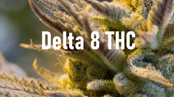Delta 8 The Legal THC