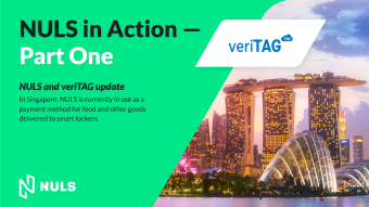 NULS in Action — Part One