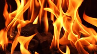 250 Million TRF will be CoinBurn in April
