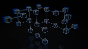 Which is more important in crypto between price and development?