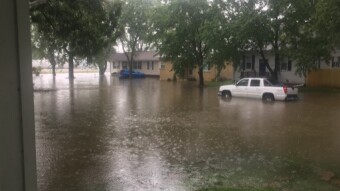 We got a shower of rain today