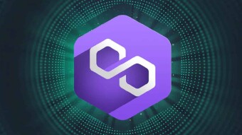 Polygon Vs. Algorand: Community Analysis