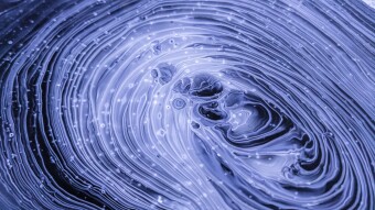 Our brain cells and negative emotions - some new findings