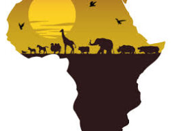 African Writers Bureau launching writing courses