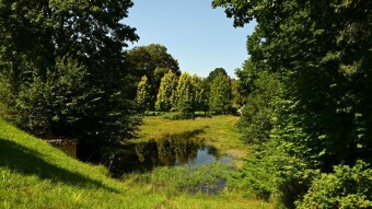 The return of beautiful summer weather - lots of work - My Actifit Report Card: September 1, 2025