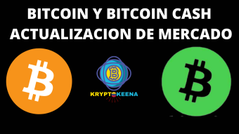 !! BITCOIN CASH AND BITCOIN PRICE UPDATE !!